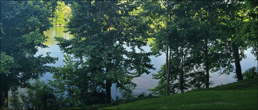 Testimonial from Jimmy Stewart